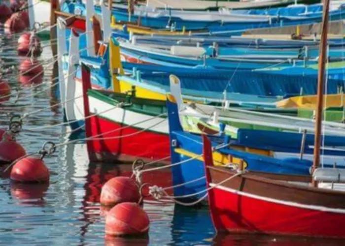 Le Son Des Vagues Cassis